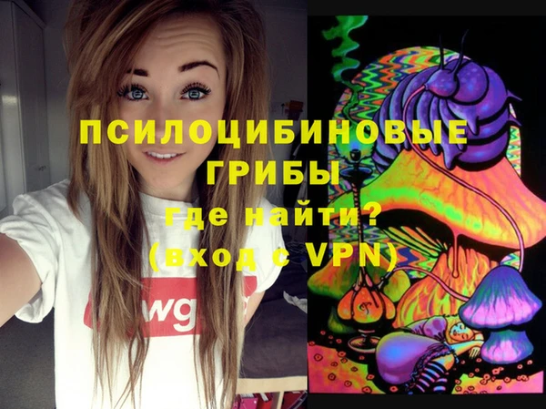 ГАЛЛЮЦИНОГЕННЫЕ ГРИБЫ Алзамай