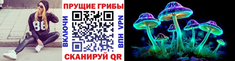 Псилоцибиновые грибы Psilocybine cubensis блэк спрут онион Бежецк